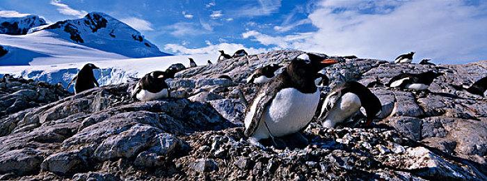 GOG喜加一：横板动作游戏《Dex》免费领取